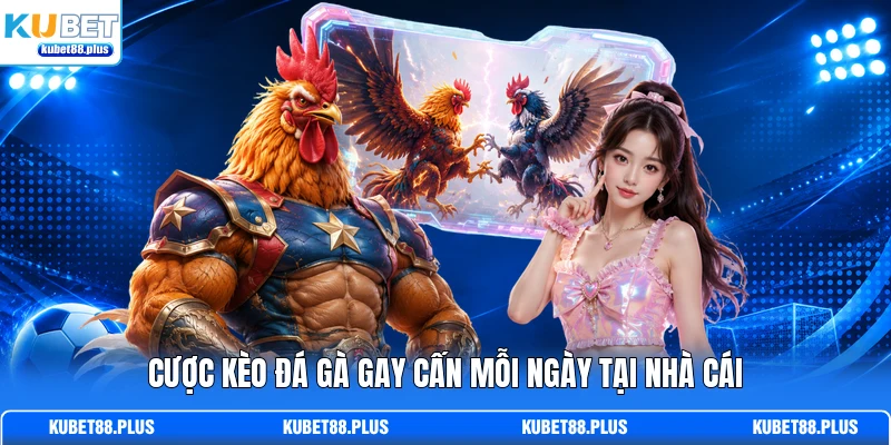 Cược kèo đá gà gay cấn mỗi ngày tại nhà cái