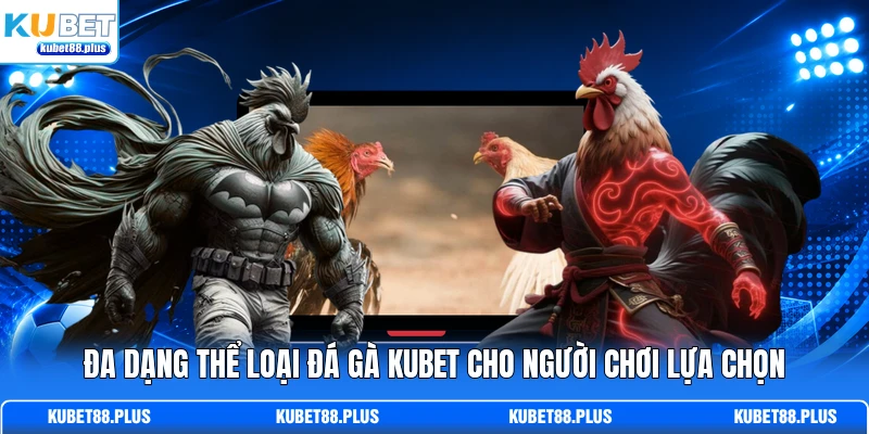 Đa dạng thể loại đá gà KUBET cho người chơi lựa chọn