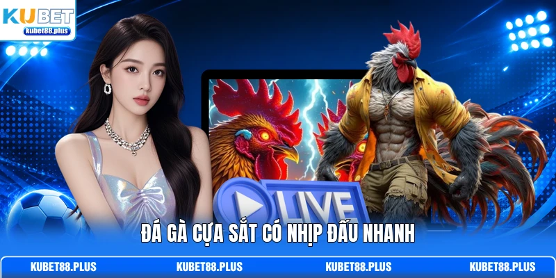Đá gà cựa sắt có nhịp đấu nhanh