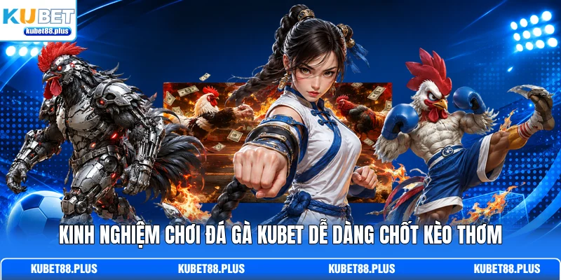 Kinh nghiệm chơi đá gà KUBET dễ dàng chốt kèo thơm