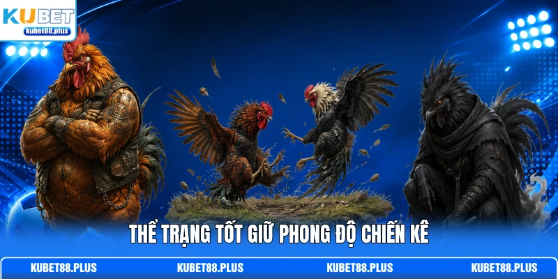Thể trạng tốt giữ phong độ chiến kê